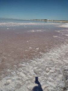 StansburyIslandGreatSaltLake-62 image from Stansbury Island area of the Great Salt Lake in Utah