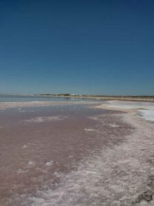StansburyIslandGreatSaltLake-63 image from Stansbury Island area of the Great Salt Lake in Utah