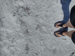 StansburyIslandGreatSaltLake-7 image from Stansbury Island area of the Great Salt Lake in Utah