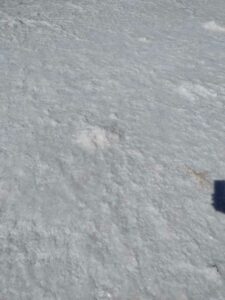 StansburyIslandGreatSaltLake-74 image from Stansbury Island area of the Great Salt Lake in Utah