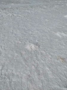 StansburyIslandGreatSaltLake-75 image from Stansbury Island area of the Great Salt Lake in Utah