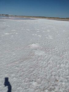 StansburyIslandGreatSaltLake-76 image from Stansbury Island area of the Great Salt Lake in Utah
