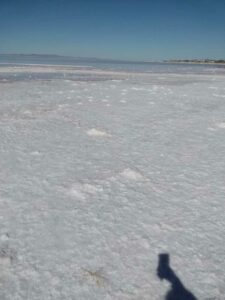 StansburyIslandGreatSaltLake-77 image from Stansbury Island area of the Great Salt Lake in Utah