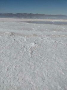 StansburyIslandGreatSaltLake-78 image from Stansbury Island area of the Great Salt Lake in Utah