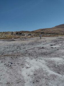 StansburyIslandGreatSaltLake-8 image from Stansbury Island area of the Great Salt Lake in Utah