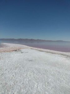 StansburyIslandGreatSaltLake-83 image from Stansbury Island area of the Great Salt Lake in Utah