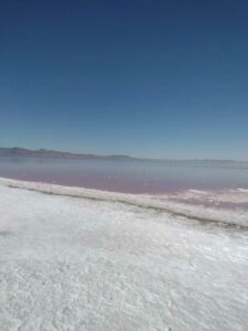 StansburyIslandGreatSaltLake-84 image from Stansbury Island area of the Great Salt Lake in Utah