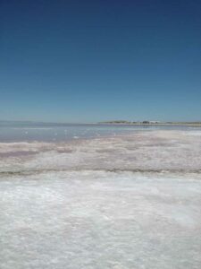 StansburyIslandGreatSaltLake-86 image from Stansbury Island area of the Great Salt Lake in Utah