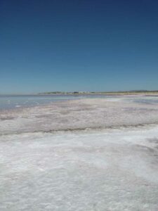 StansburyIslandGreatSaltLake-87 image from Stansbury Island area of the Great Salt Lake in Utah
