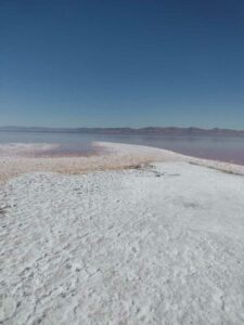 StansburyIslandGreatSaltLake-88 image from Stansbury Island area of the Great Salt Lake in Utah