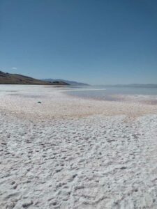 StansburyIslandGreatSaltLake-90 image from Stansbury Island area of the Great Salt Lake in Utah