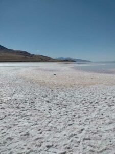 StansburyIslandGreatSaltLake-91 image from Stansbury Island area of the Great Salt Lake in Utah
