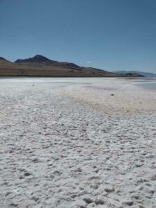 StansburyIslandGreatSaltLake-92 image from Stansbury Island area of the Great Salt Lake in Utah