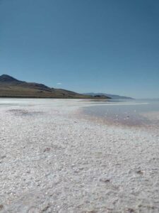 StansburyIslandGreatSaltLake-96 image from Stansbury Island area of the Great Salt Lake in Utah