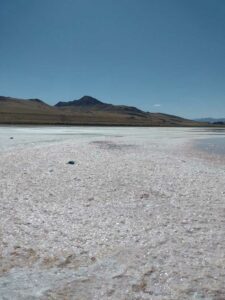 StansburyIslandGreatSaltLake-97 image from Stansbury Island area of the Great Salt Lake in Utah