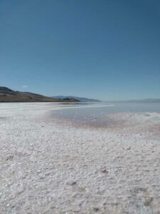StansburyIslandGreatSaltLake-98 image from Stansbury Island area of the Great Salt Lake in Utah