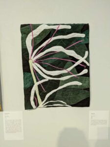 VisionGalleryChandlerJan2025-21 image from the Vision Gallery Quilt show in Chandler AZ