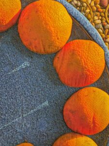 VisionGalleryChandlerJan2025-29 image from the Vision Gallery Quilt show in Chandler AZ