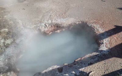 Yellowstone & Grand Teton