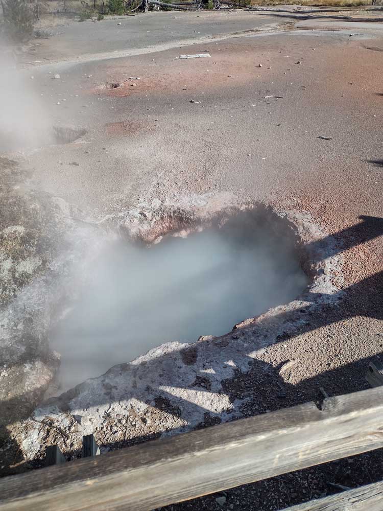 image from the Yellowstone or Grand Teton National Park - summer 2024