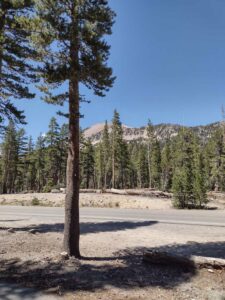 YosemiteAug2024-1 image from Yosemite Valley, summer 2024