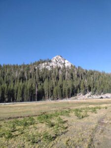 YosemiteAug2024-10 image from Yosemite Valley, summer 2024