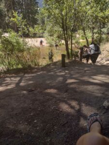 YosemiteAug2024-103 image from Yosemite Valley, summer 2024