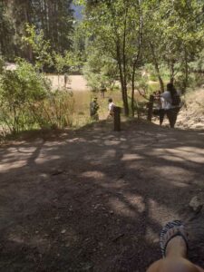 YosemiteAug2024-104 image from Yosemite Valley, summer 2024