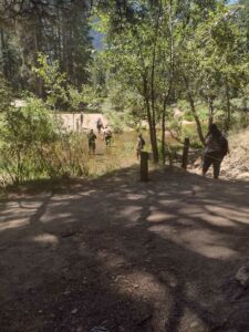 YosemiteAug2024-105 image from Yosemite Valley, summer 2024