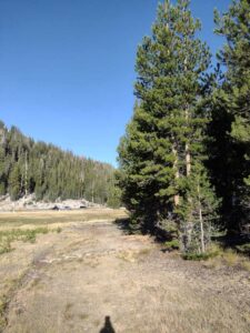 YosemiteAug2024-11 image from Yosemite Valley, summer 2024
