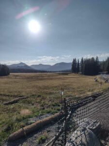 YosemiteAug2024-14 image from Yosemite Valley, summer 2024