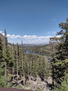YosemiteAug2024-2 image from Yosemite Valley, summer 2024
