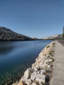 YosemiteAug2024-21 image from Yosemite Valley, summer 2024