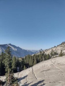 YosemiteAug2024-29 image from Yosemite Valley, summer 2024