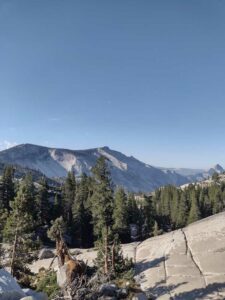 YosemiteAug2024-30 image from Yosemite Valley, summer 2024