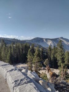 YosemiteAug2024-31 image from Yosemite Valley, summer 2024