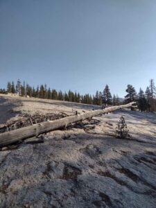 YosemiteAug2024-4 image from Yosemite Valley, summer 2024