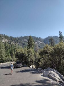 YosemiteAug2024-40 image from Yosemite Valley, summer 2024