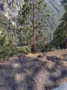 YosemiteAug2024-41 image from Yosemite Valley, summer 2024