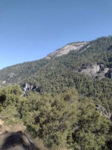 YosemiteAug2024-42 image from Yosemite Valley, summer 2024