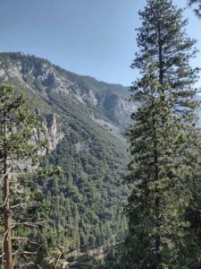 YosemiteAug2024-45 image from Yosemite Valley, summer 2024