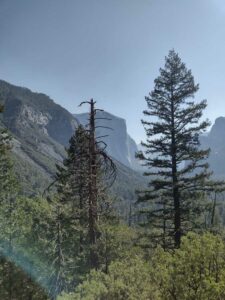 YosemiteAug2024-46 image from Yosemite Valley, summer 2024