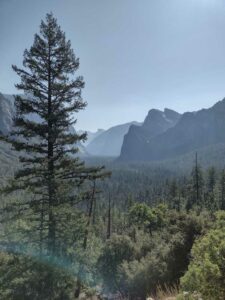 YosemiteAug2024-47 image from Yosemite Valley, summer 2024