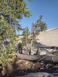YosemiteAug2024-5 image from Yosemite Valley, summer 2024