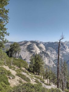 YosemiteAug2024-52 image from Yosemite Valley, summer 2024