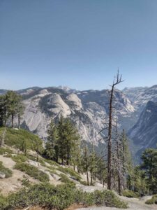 YosemiteAug2024-53 image from Yosemite Valley, summer 2024