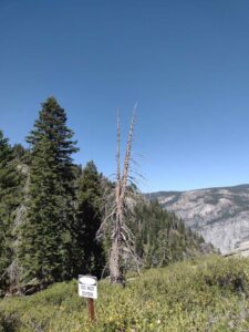 YosemiteAug2024-58 image from Yosemite Valley, summer 2024