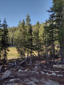 YosemiteAug2024-7 image from Yosemite Valley, summer 2024