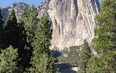 Yosemite Basically Sucks Now.