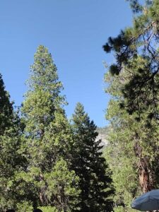 YosemiteAug2024-71 image from Yosemite Valley, summer 2024